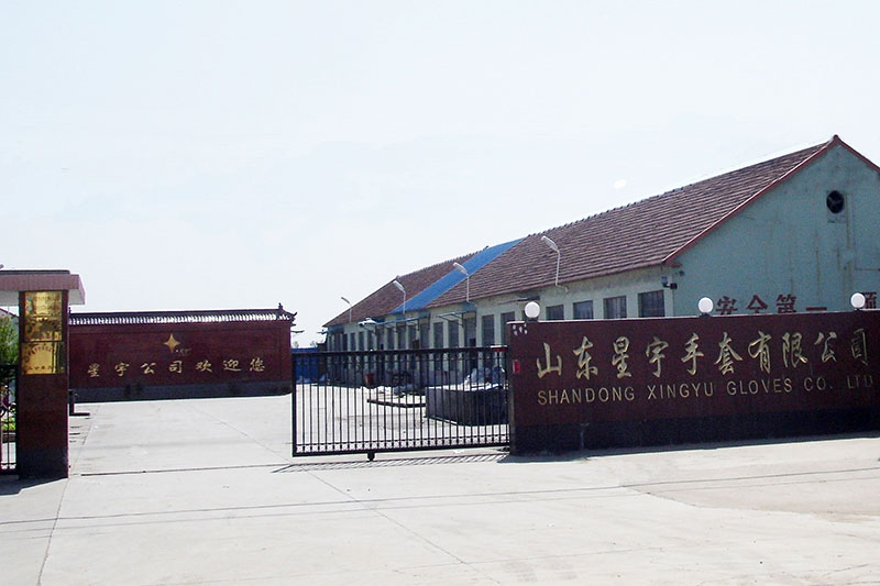 2008 2008