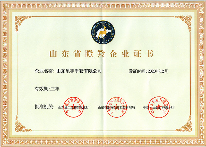山東省-瞪羚企業(yè)
